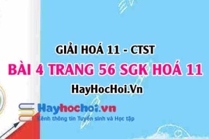 Giải bài 4 trang 56 Hoá 11 SGK Chân trời sáng tạo